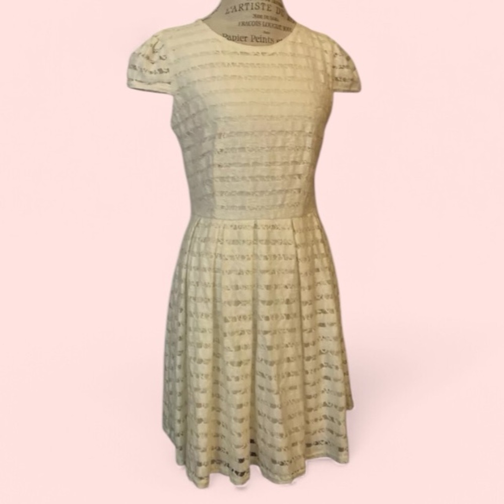 🌼 ALYA Yellow Lace Skater Dress | Size L | EUC 🌼